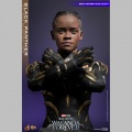 Hot Toys Black Panther - Black Panther: Wakanda Forever