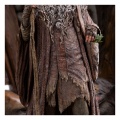 Weta 1/6 Radagast in Rhosgobel Limited Edition - Le Seigneur des Anneaux