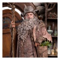 Weta 1/6 Radagast in Rhosgobel Limited Edition - Le Seigneur des Anneaux