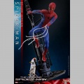 Hot Toys Spider-Man (Deluxe Version) - The Amazing Spider-Man