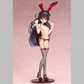 Hachiroku Red Bunny Ver. - Maitetsu (Binding)