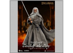 Gandalf the Grey - The Lord of the Rings