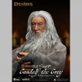 Gandalf le Gris - Le Seigneur des Anneaux