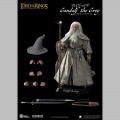 Gandalf the Grey - The Lord of the Rings