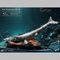 Mosasaurus (DX) - Wonders of the Wild