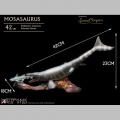 Mosasaurus (DX) - Wonders of the Wild