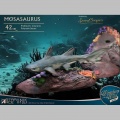 Mosasaurus (DX) - Wonders of the Wild