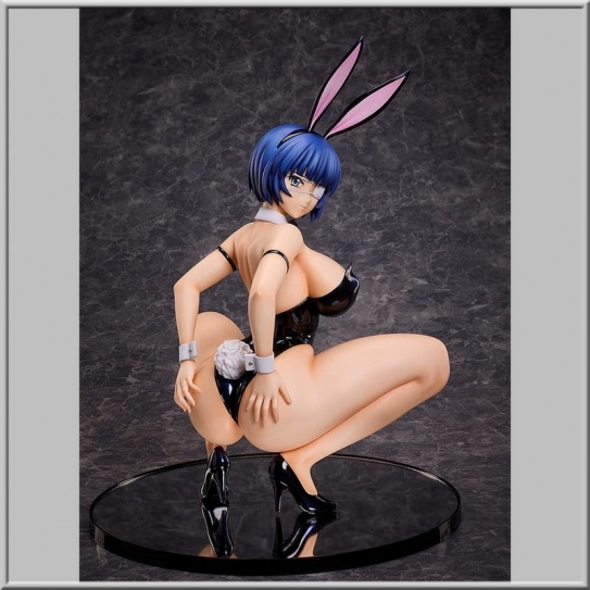 Ryomou Shimei: Bare Leg Bunny Ver. 2nd - Shin Ikki Tousen (Freeing)