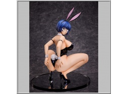 Ryomou Shimei: Bare Leg Bunny Ver. 2nd - Shin Ikki Tousen (Freeing)