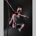 Catwoman by Jock - DC Designer Series