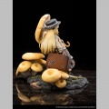 Pleurotus Citrinopileatus - The Mushroom Girls (Reverse Studio)