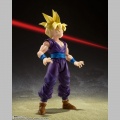 S.H. Figuarts Son Gohan - The Warrior Who Surpassed Goku - Dragon Ball Z