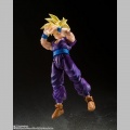 S.H. Figuarts Son Gohan - The Warrior Who Surpassed Goku - Dragon Ball Z