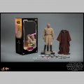 Hot Toys Mace Windu - Star Wars: Episode II