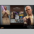 Hot Toys Mace Windu - Star Wars: Episode II