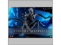 Hot Toys Scorched Xenomorph - Alien: Romulus