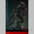 Hot Toys Scorched Xenomorph - Alien: Romulus