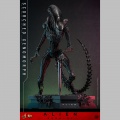 Hot Toys Scorched Xenomorph - Alien: Romulus