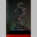 Hot Toys Scorched Xenomorph - Alien: Romulus