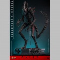 Hot Toys Scorched Xenomorph - Alien: Romulus