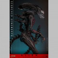 Hot Toys Scorched Xenomorph - Alien: Romulus