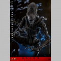 Hot Toys Scorched Xenomorph - Alien: Romulus