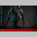 Hot Toys Scorched Xenomorph - Alien: Romulus