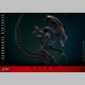 Hot Toys Scorched Xenomorph - Alien: Romulus