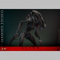 Hot Toys Scorched Xenomorph - Alien: Romulus