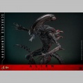 Hot Toys Scorched Xenomorph - Alien: Romulus