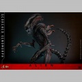 Hot Toys Scorched Xenomorph - Alien: Romulus