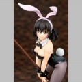 Yukina Himeragi Bunny Girl Style - Strike the Blood (Ques Q)