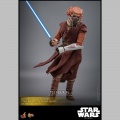 Hot Toys Plo Koon - Star Wars