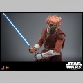 Hot Toys Plo Koon - Star Wars