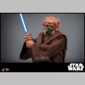 Hot Toys Plo Koon - Star Wars