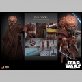 Hot Toys Plo Koon - Star Wars