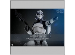 Hot Toys 104th Battalion Wolfpack Clone Trooper - Star Wars The Clone Wars