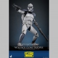 Hot Toys 104th Battalion Wolfpack Clone Trooper - Star Wars The Clone Wars