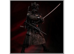 Damtoys 1/6 Jinyiwei - Special Warfare Ming Dynasty Extreme Zone