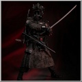 Damtoys 1/6 Jinyiwei - Special Warfare Ming Dynasty Extreme Zone