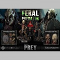 Prime 1 Studio 1/3 Feral Predator - Prey