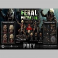 Prime 1 Studio 1/3 Feral Predator Deluxe Version - Prey