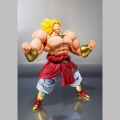 S.H.Figuarts Broly 40th Anniversary Edition - Dragon Ball Z