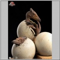 Set 3 1/2 Pterosaur Hatching - Jurassic Park