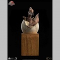 Set 3 1/2 Pterosaur Hatching - Jurassic Park