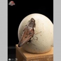 Set 3 1/2 Pterosaur Hatching - Jurassic Park