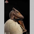 Set 3 1/2 Pterosaur Hatching - Jurassic Park