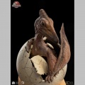 Set 3 1/2 Pterosaur Hatching - Jurassic Park