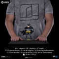 Iron Studios Batman - Batman Animated icons