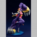 Bishoujo Hsien-Ko 1/7 - Darkstalkers